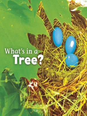 cover image of What's in a Tree?